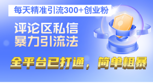评论区私信暴力引流法,每天精准引流300+创业粉,全平台已打通,简单粗暴-创业资源网