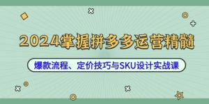 2024掌握拼多多运营精髓:爆款流程、定价技巧与SKU设计实战课-创业资源网