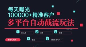 小红书抖音视频号最新截流获客系统,全自动引流精准客户【日曝光10000+】基本上适配所有行业-创业资源网