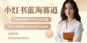 小红书蓝海赛道，圈中高端职场人，月入无上限，可矩阵，内含私域实操教程!-创业资源网