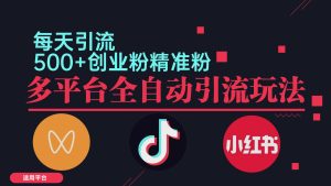 小红书抖音视频号截流自热全平台引流打法,全自动引流【日引2000+精准…-创业资源网