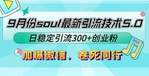 9月份soul最新引流技术5.0,日稳定引流300+创业粉,加爆微信,卷死同行-创业资源网