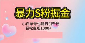 单人单机日引千粉,变现1000+,S粉流量掘金计划攻略-创业资源网