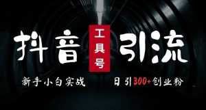 2024最新抖音工具号引流玩法,高效日引300+创业粉,当天变现5k,小白也可成为实战高手-创业资源网