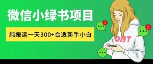 微信小绿书项目,纯搬运,日入300+,每天操作十分钟-创业资源网