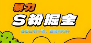 单人单机日引千粉，变现1k+，S粉流量掘金计划攻略【揭秘】-创业资源网