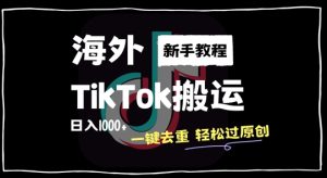 2024最新海外TikTok搬运玩法,一键去重轻松过原创,新手无经验也能日入1k【揭秘】-创业资源网