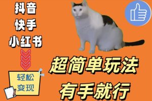 超级简单游戏玩法，有手就行，靠猫咪视频日入500 【揭密】-创业资源网