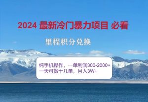 2024惊爆冷爆利,里程积分全新游戏玩法,高风口期,一单300 —2000-创业资源网