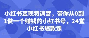 小红书的转现夏令营,陪你从0到1做一个挣钱的小红书号,24堂小红书爆款课-创业资源网