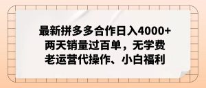 拼多多最新协作日入4000 二天销售量过百单,无培训费、老经营代实际操作、新手褔利-创业资源网