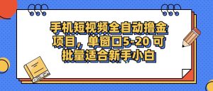 手机小视频掘金队新项目,单页面单服务平台5-20 可大批量适宜新手入门-创业资源网