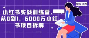 小红书的实战演练夏令营,从0到1,6000万小红书的新项目拆卸-创业资源网
