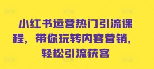 小红书运营受欢迎引流课程,带你玩转内容运营,轻轻松松引流方法拓客-创业资源网