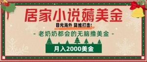 居家生活小说集薅美元,拆卸国外撸美元新项目月入2000美金详尽具体指导-创业资源网