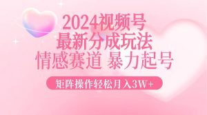 2024新视频号分为游戏玩法,情绪跑道,暴力行为养号,引流矩阵实际操作轻轻松松月入3W-创业资源网