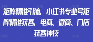 引流矩阵精准引流方法,小红书的技术专业号引流矩阵营销获客,电子商务、微商代理、店面拓客绝技-创业资源网