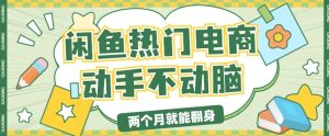 电子商务平台卖显示屏月入了W，全新满满干货，新手快速上手-创业资源网