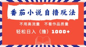 番茄小说全新自撸 不看流量 不要看品质 轻轻松松日入1000-创业资源网