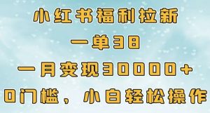 小红书福利拉新,一单38,一月3000+轻轻松松,0门槛小白轻松操作-创业资源网