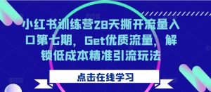 小红书的夏令营28天撕掉流量来源第七期,Get高品质总流量,开启降低成本精准引流方法游戏玩法-创业资源网