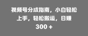 微信视频号分为手册,新手快速上手,轻轻松松运送,日入3张-创业资源网