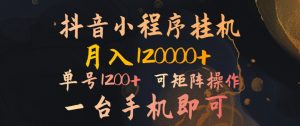 抖音小程序放置挂机蓝海项目,月入1.2w,一台手机即可操作,可引流矩阵实际操作-创业资源网