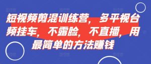 短视频剪混夏令营,多侧视台频挂斗,不露脸,不直播,用有效的方法挣钱-创业资源网