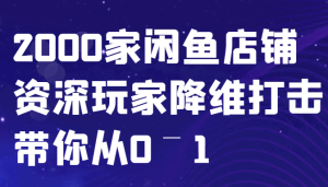 闲鱼平台已经饱和？纯胡扯！2000家闲鱼店铺骨灰级玩家降维攻击陪你从0–1-创业资源网