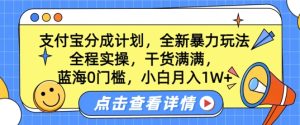 瀚海0门坎,支付宝钱包分为方案,全新升级暴力行为游戏玩法,全过程实际操作,满满的干货,新手月入1W-创业资源网