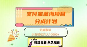 支付宝钱包蓝海项目分为方案,没脑子运送,新手轻轻松松月入1w-创业资源网