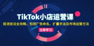TikTok小商店运营课:投流手法攻略大全,包含广告宣传取名 扩量技巧以及市场运营方法-创业资源网