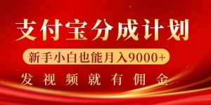 支付宝视频分成计划，一万播放200-300+，抓紧来干-创业资源网