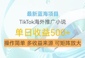 最新蓝海项目,利用tiktok海外推广小说赚钱佣金,简单易学,日入500+,可矩阵放大【揭秘】-创业资源网