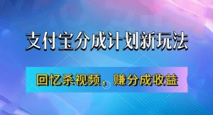 支付宝钱包分为方案全新游戏玩法，运用满满的回忆短视频，赚分为方案盈利，使用方便，初学者都可以轻松月入了万-创业资源网