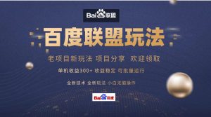 百度联盟 单机版300 课程分享 小白可没脑子实际操作-创业资源网