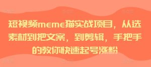 小视频meme猫实践项目,从选素材内容到把创意文案,到视频剪辑,手把手的教你迅速养号增粉-创业资源网