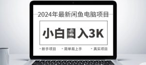 2024全新闲鱼电脑新项目,出手就可以吃肉的好项目-创业资源网