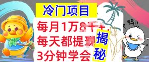蓝海项目，用这种方法一定要学会，内部结构实例教程，每月1w(揭密)-创业资源网