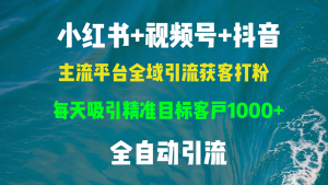 小红书的,微信视频号,抖音视频主流平台示范区引流方法拓客磨粉,每日吸引住精确目标客户群体…-创业资源网