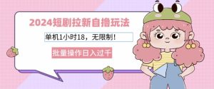 2024短剧剧本引流自撸游戏玩法,单机版1个小时18不受限制,批量处理日入了k-创业资源网