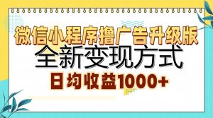 微信小程序撸广告升级版,全新变现方式,日均收益1000+-创业资源网