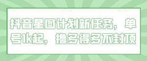 抖音星图方案新要求,运单号1k起,撸多很多不封顶-创业资源网
