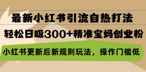 最新小红书引流自热打法,轻松日吸300+精准宝妈创业粉,小红书更新后新...-创业资源网