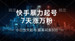 快手暴力起号,7天涨万粉,小白当天起号 多种变现方式,账号回收,单月...-创业资源网