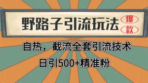 抖音小红书视频号全平台引流打法,全自动引流日引2000+精准客户-创业资源网