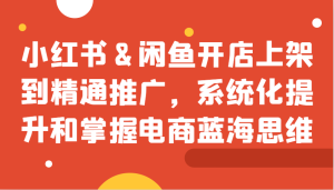 小红书&闲鱼开店上架到精通推广,系统化提升和掌握电商蓝海思维-创业资源网