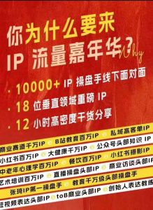 群响IP总流量嘉年华会，视频录像 IP武林2024珍藏版PPT-创业资源网