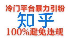 小众服务平台暴力行为引流方法,日引100 自主创业粉,0成本费100%防止违反规定游戏的玩法-创业资源网