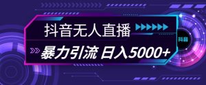 抖音和快手微信视频号全网平台通用性无人直播引流法,运用图片素材和语音销售话术,暴力行为日引流方法100 自主创业粉【揭密】-创业资源网